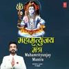 About Mahamrityunjay Mantra Song