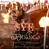 About Sye Dhalapathi Song