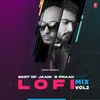 Yaar Matlabi Lofi Mix(Remix By D.J. Moody)