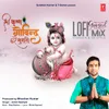 About Shri Krishna Govind Hare Murari Lofi Mix(Remix By Sd Style,Kedrock) Song
