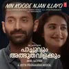 About Nin Koode Njan Illayo (From "Pachuvum Athbutha Vilakkum") Song