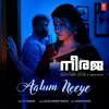 About Aalum Neeye (From "Neeraja") Song