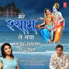 About Mere Shyam Le Gaya Song