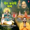 About Neem Karoli Baba Song