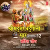 About Shrimad Bhagwad Geeta Saar - Adhyay 12 - Bhakti Yog Song