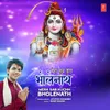 About Mera Sab Kuchh Bholenath Song