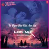 Tu Pyar Hai Kisi Aur Ka Lofi Mix(Remix By DJ Abhi India)