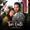 About Teri Gali Song