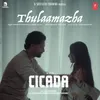 About Thulaamazha (From "Cicada") Song