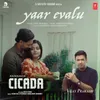 About Yaar Evalu (From "Cicada") Song