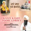 About Kaate Kasht Poore Gurdev Song