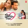 About Dil Kho Gaya Song