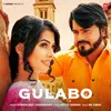 About Gulabo Song