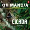 About Oh Manuja (From "Cicada") Song