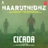 About Haaruthidhe (From "Cicada") Song