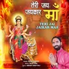 About Teri Jai Jaikar Maa Song