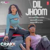 About Dil Jhoom (From "Crakk - Jeetegaa Toh Jiyegaa") Song