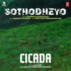 About Sothodheyo (From "Cicada") Song