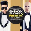 About Slowly Slowly Remix(Remix By Dj Lucky) Song