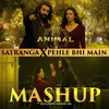Satranga X Pehle Bhi Main Mashup(Remix By Dj Sunny Singh Uk)