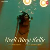 Neeli Ningi Kallu