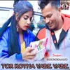 About Tor Kotha Vabe Vabe Song