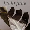 Hello June