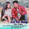 About Juli Tor Roop Me Fida Song