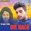 About Tu Kali Tero Dil Kalo Song