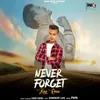 About Never Forget Song