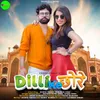 About Dilli Ke Chhore Song