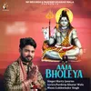 About Aaja Bholeya Song