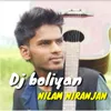 About DJ Boliyan Song