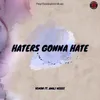 About Haters Gonna Hate Song