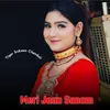 About Meri Jaan Sanam Song
