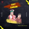 About Hay Sanam Song