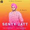 About Senty Jatt Song