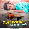 Teri Yaad Dil Se Jati Nahi