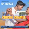About Chikini Chameli Song