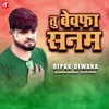 Tu Bewafa Sanam