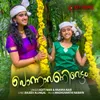 About Ponnavanivettam Song