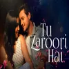 About Tu Zaroori Hai Song