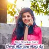 About Chorao Mari Janu Margi Aaj Song