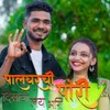 About Palghar Chi Pori Disaya Lay Bhari Song