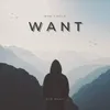 About Want Song