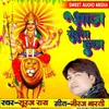 About Aaj Roela Ham Song