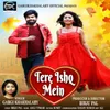 About Tere Ishq Mein Song