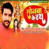 About Sonva Ke Raht Song