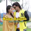 About Kana Baigan Song