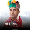 About Nesang Rinpochhe Song